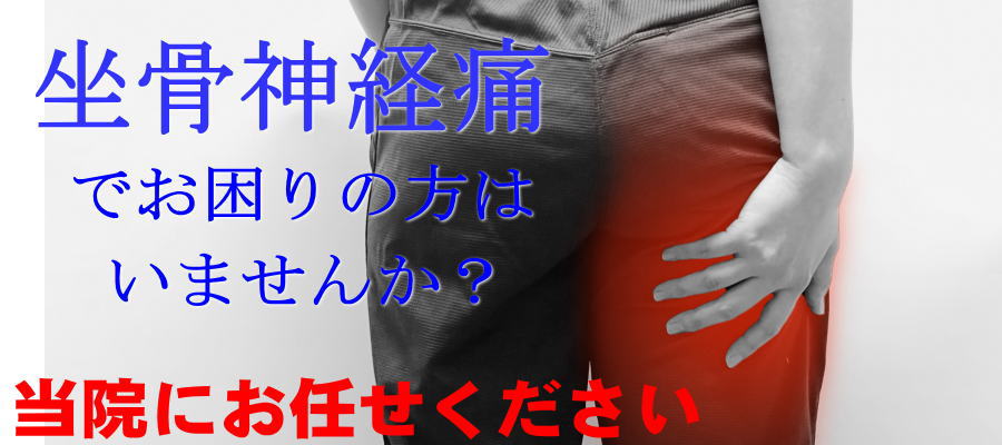 坐骨神経痛 船橋整体サロン|坂口カイロプラクティック整体院