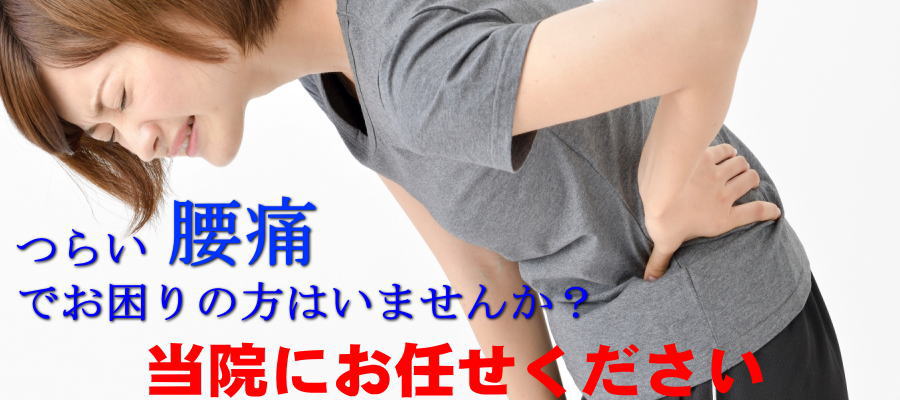 腰痛 船橋整体サロン|坂口カイロプラクティック整体院